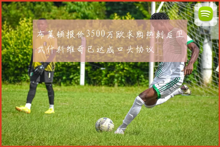 布莱顿报价3500万欧求购热刺后卫武什科维奇已达成口头协议